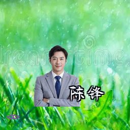 陈锋